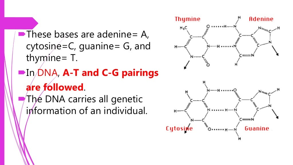 The different Biomolecules