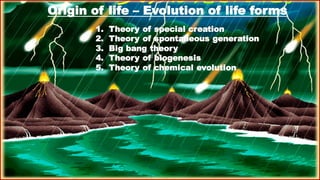 12th biology chapter 6 evolution..... hu | PDF