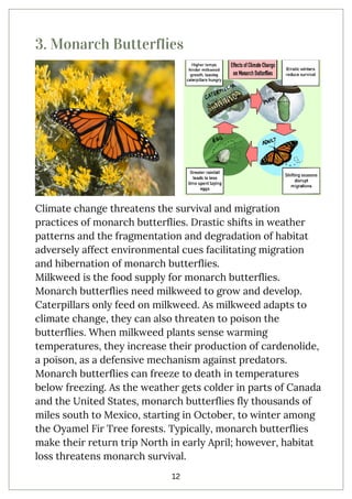 impact of climate change on wildlife and ecosystems | PDF