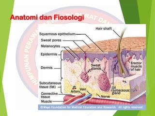 Anatomi dan Fiosologi
 