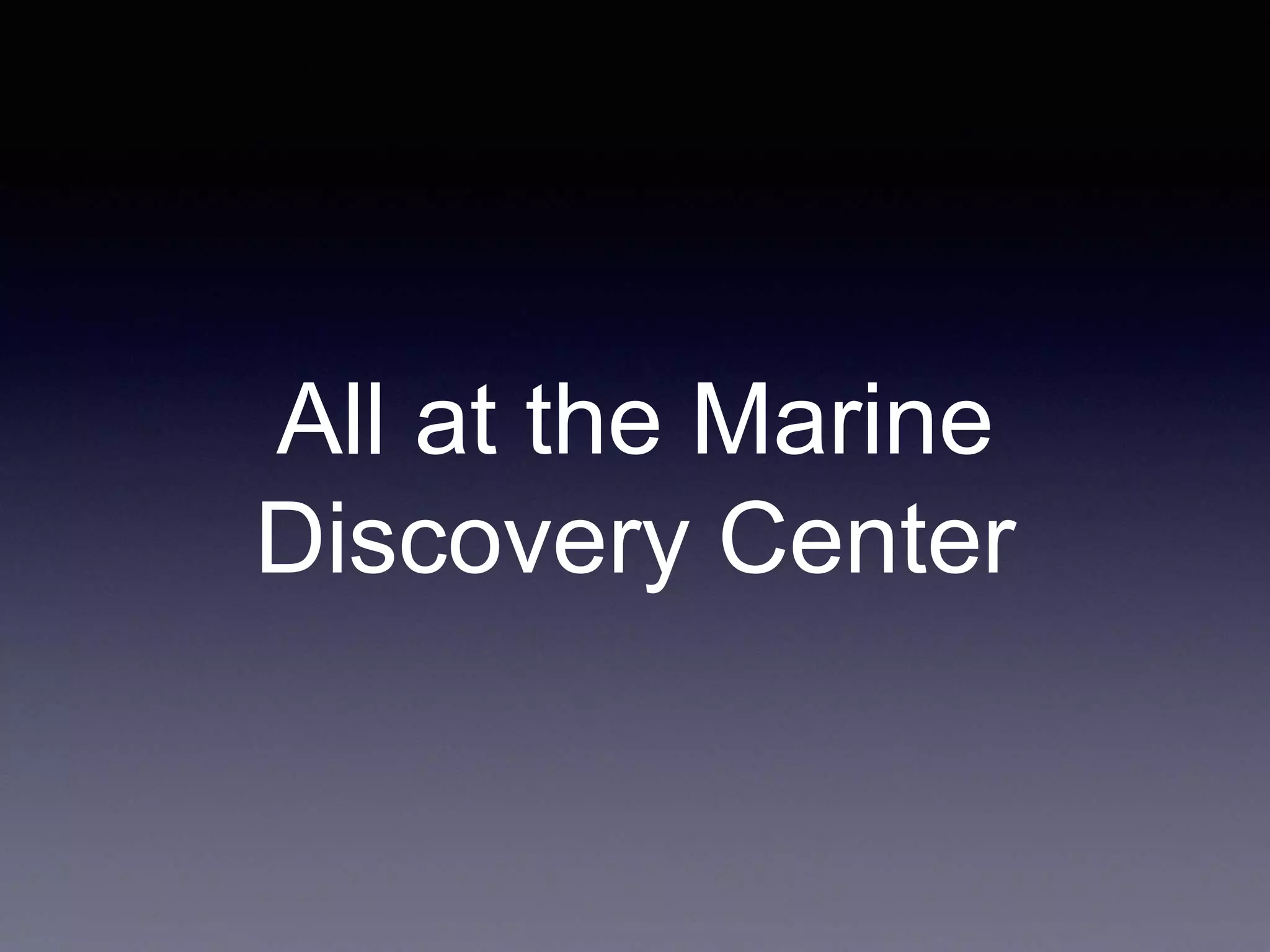 All at the Marine
Discovery Center
 