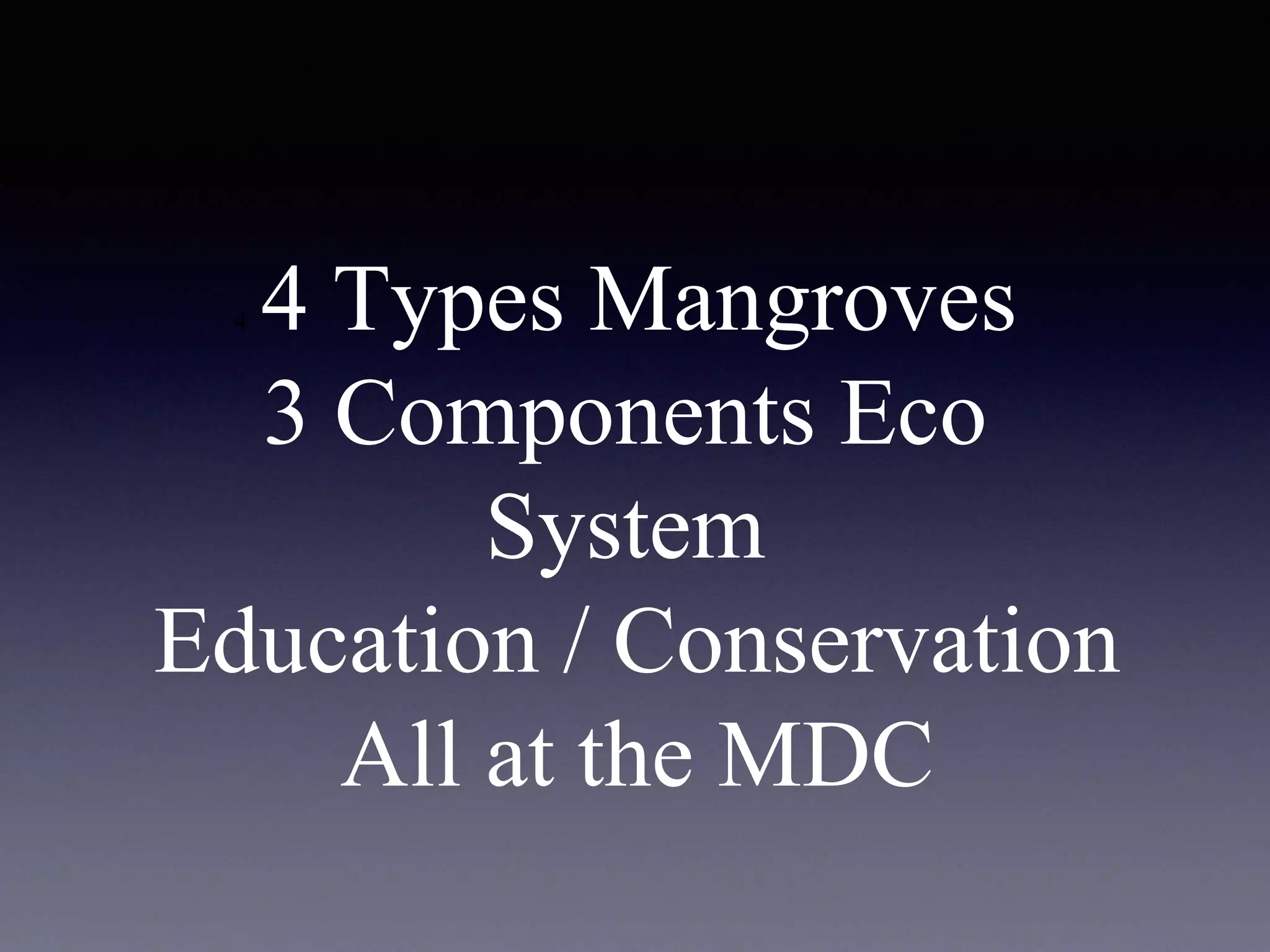 4 4 Types Mangroves
3 Components Eco
System
Education / Conservation
All at the MDC
 