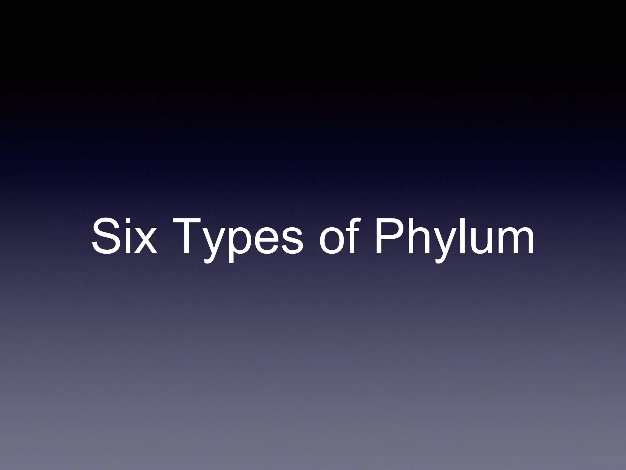 Six Types of Phylum
 