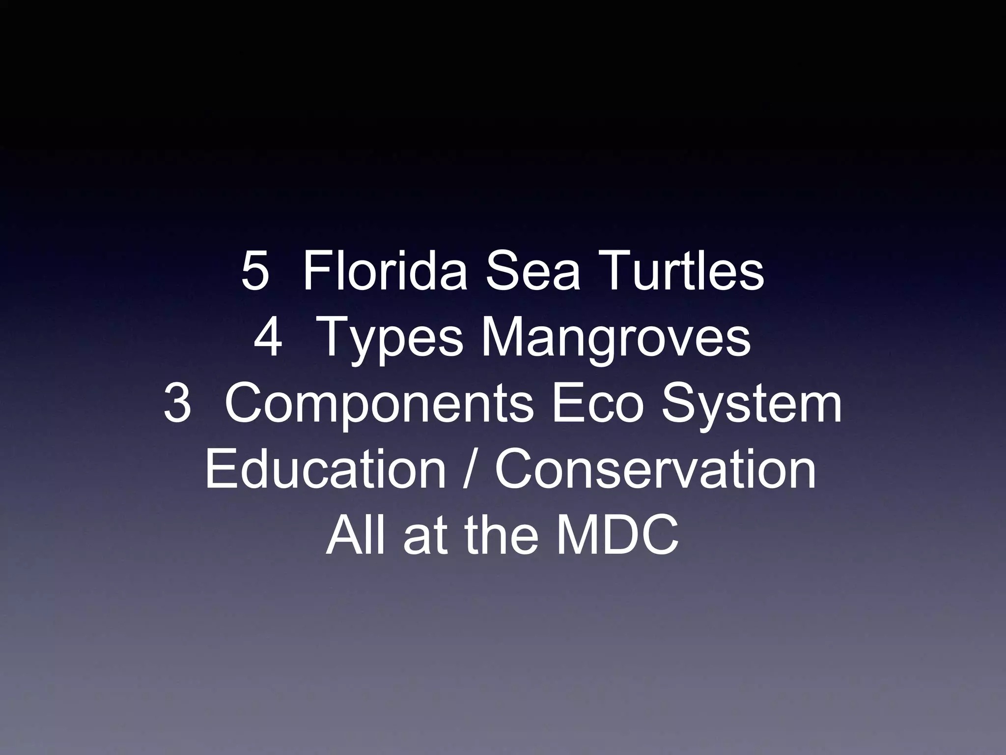 5 Florida Sea Turtles
4 Types Mangroves
3 Components Eco System
Education / Conservation
All at the MDC
 