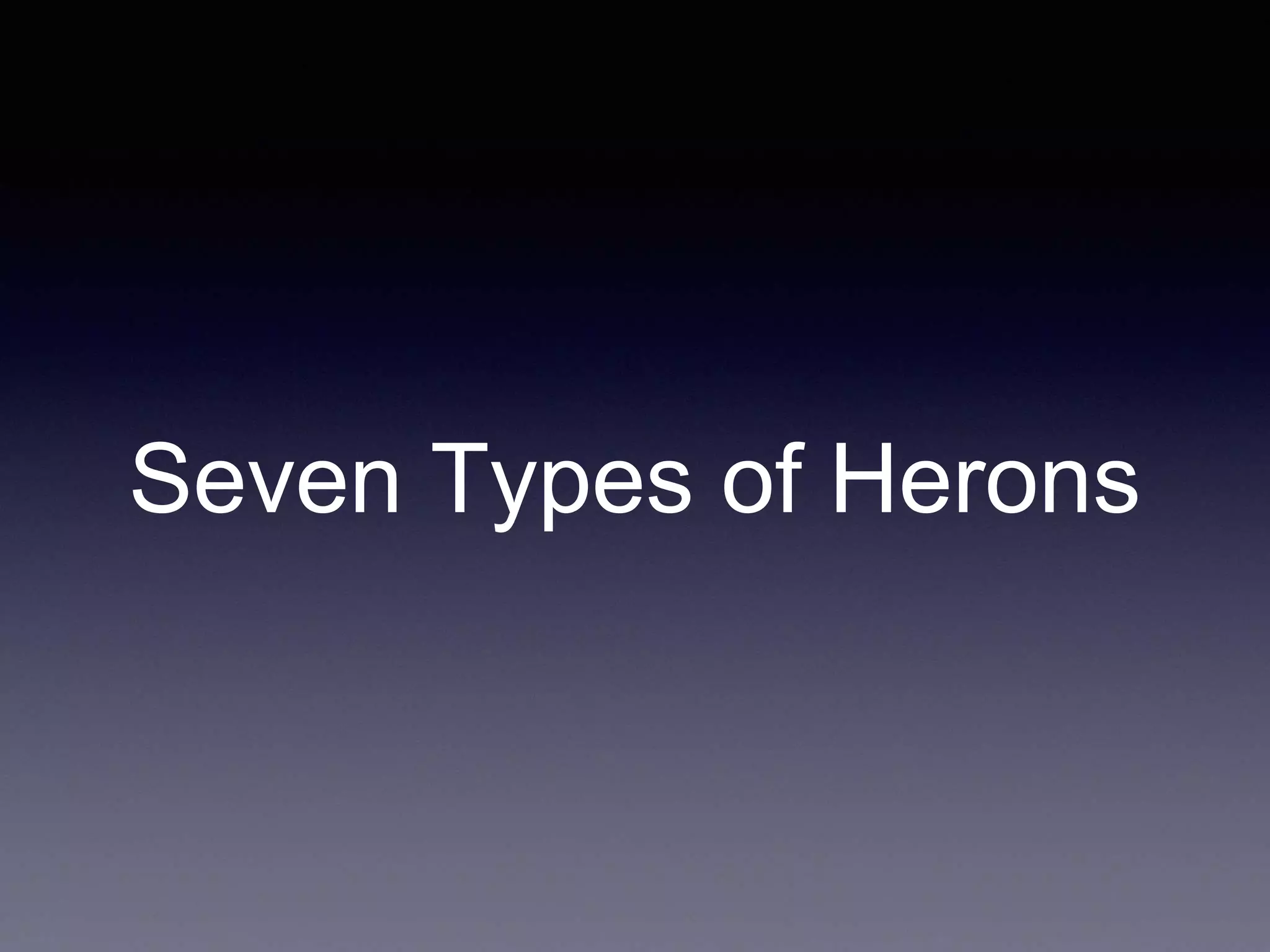 Seven Types of Herons
 