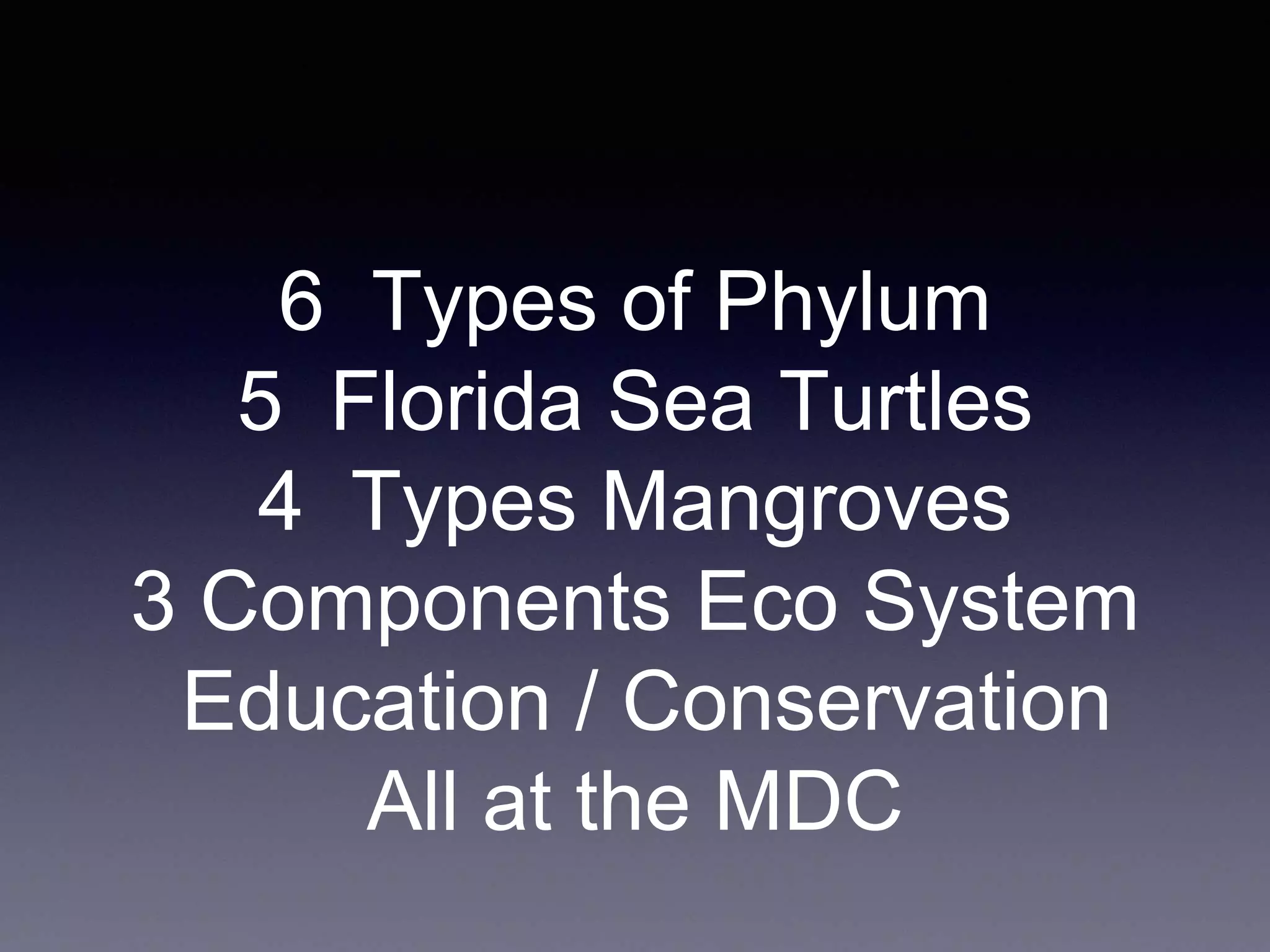 6 Types of Phylum
5 Florida Sea Turtles
4 Types Mangroves
3 Components Eco System
Education / Conservation
All at the MDC
 