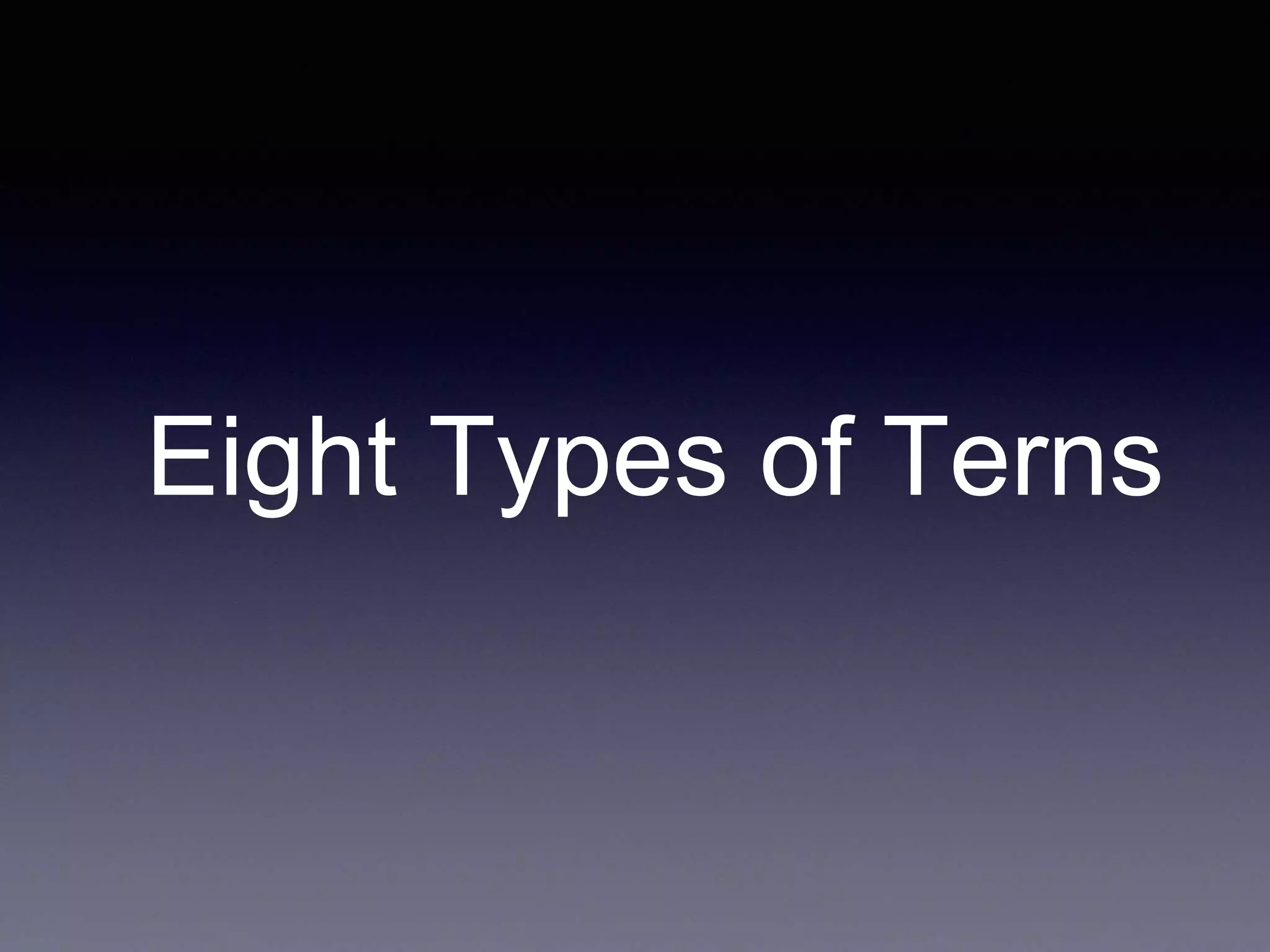 Eight Types of Terns
 