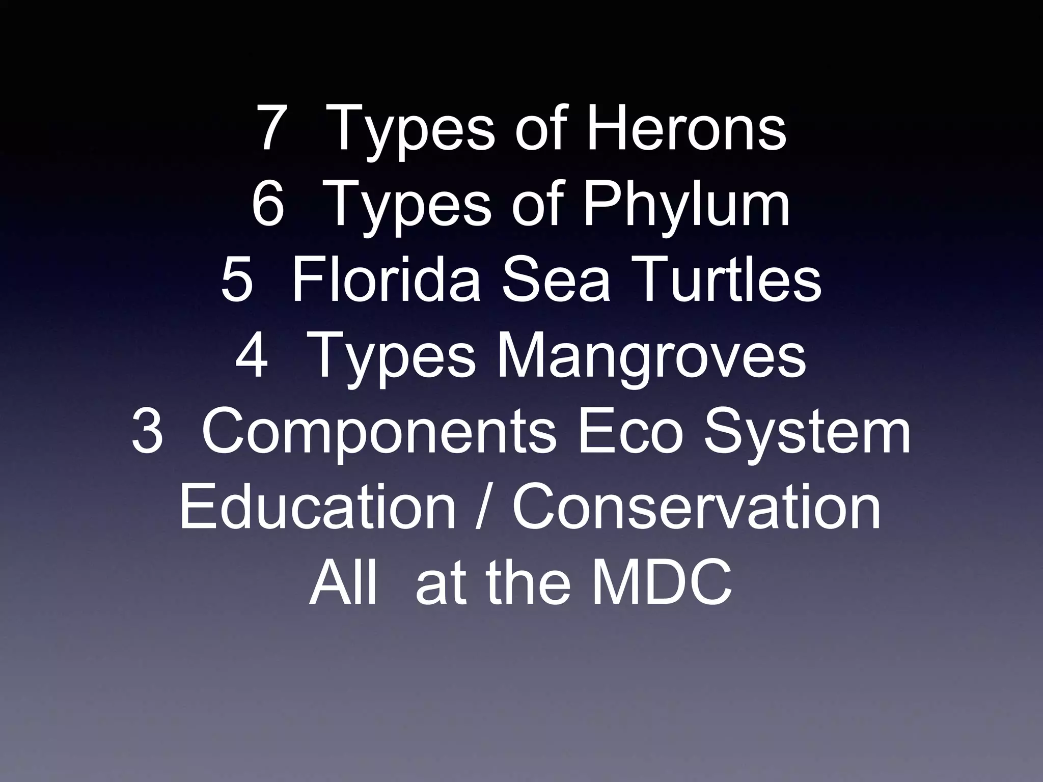 7 Types of Herons
6 Types of Phylum
5 Florida Sea Turtles
4 Types Mangroves
3 Components Eco System
Education / Conservation
All at the MDC
 