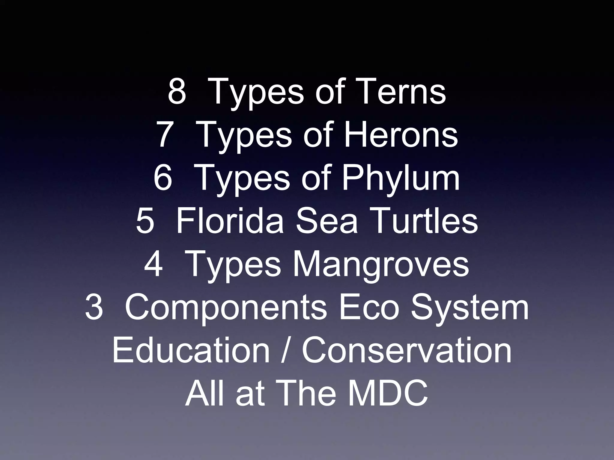 8 Types of Terns
7 Types of Herons
6 Types of Phylum
5 Florida Sea Turtles
4 Types Mangroves
3 Components Eco System
Education / Conservation
All at The MDC
 