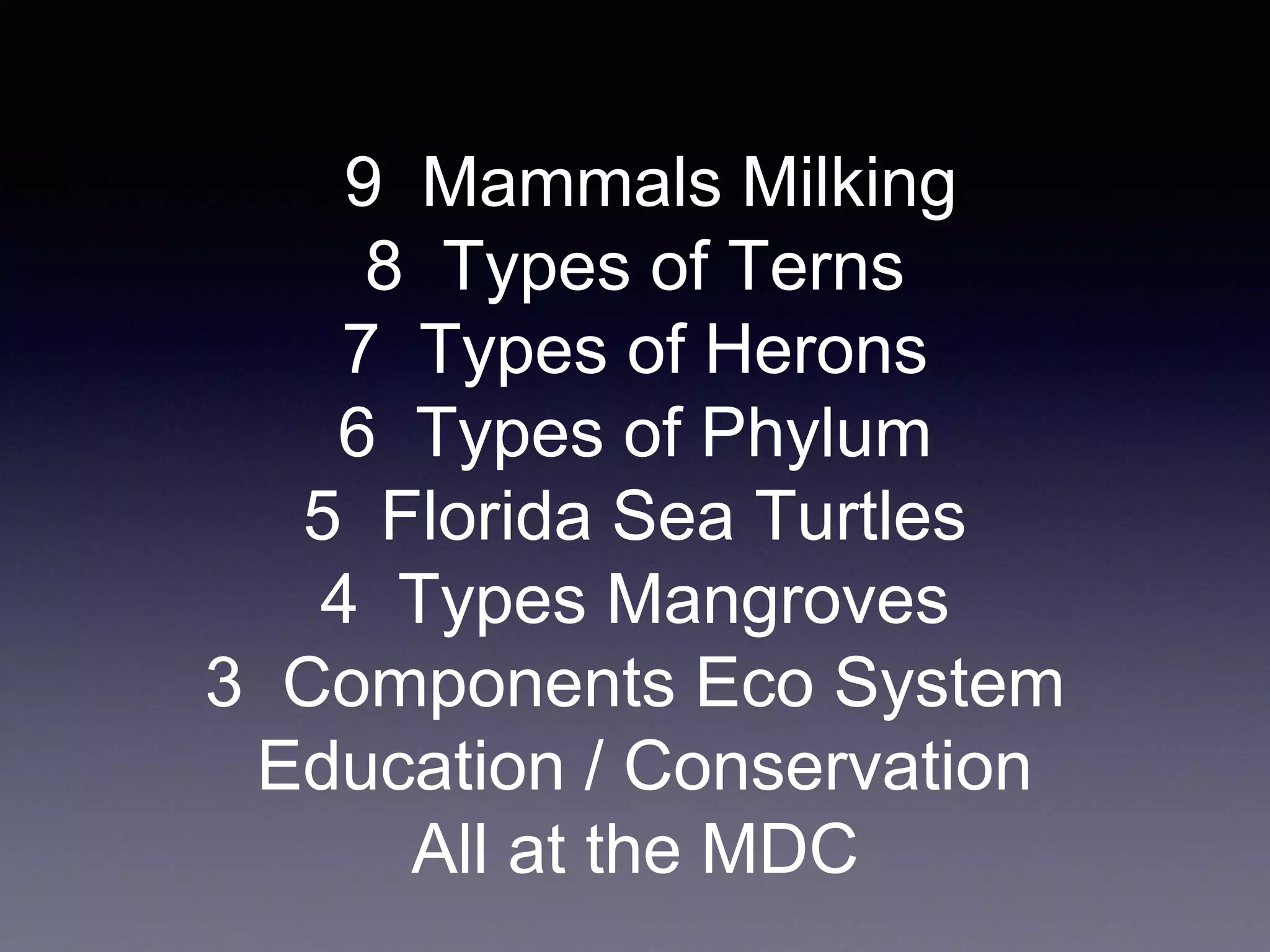 9 9 Mammals Milking
8 Types of Terns
7 Types of Herons
6 Types of Phylum
5 Florida Sea Turtles
4 Types Mangroves
3 Components Eco System
Education / Conservation
All at the MDC
 