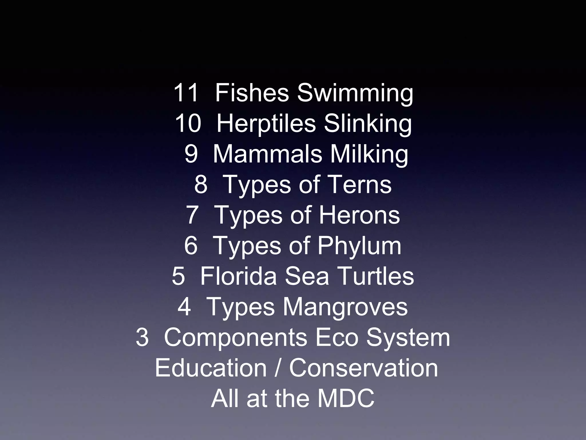 11 Fishes Swimming
10 Herptiles Slinking
9 Mammals Milking
8 Types of Terns
7 Types of Herons
6 Types of Phylum
5 Florida Sea Turtles
4 Types Mangroves
3 Components Eco System
Education / Conservation
All at the MDC
 