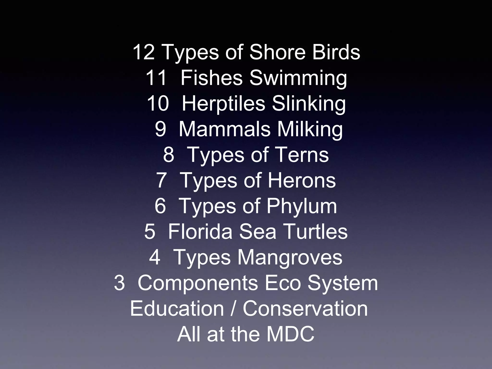 12 Types of Shore Birds
11 Fishes Swimming
10 Herptiles Slinking
9 Mammals Milking
8 Types of Terns
7 Types of Herons
6 Types of Phylum
5 Florida Sea Turtles
4 Types Mangroves
3 Components Eco System
Education / Conservation
All at the MDC
 