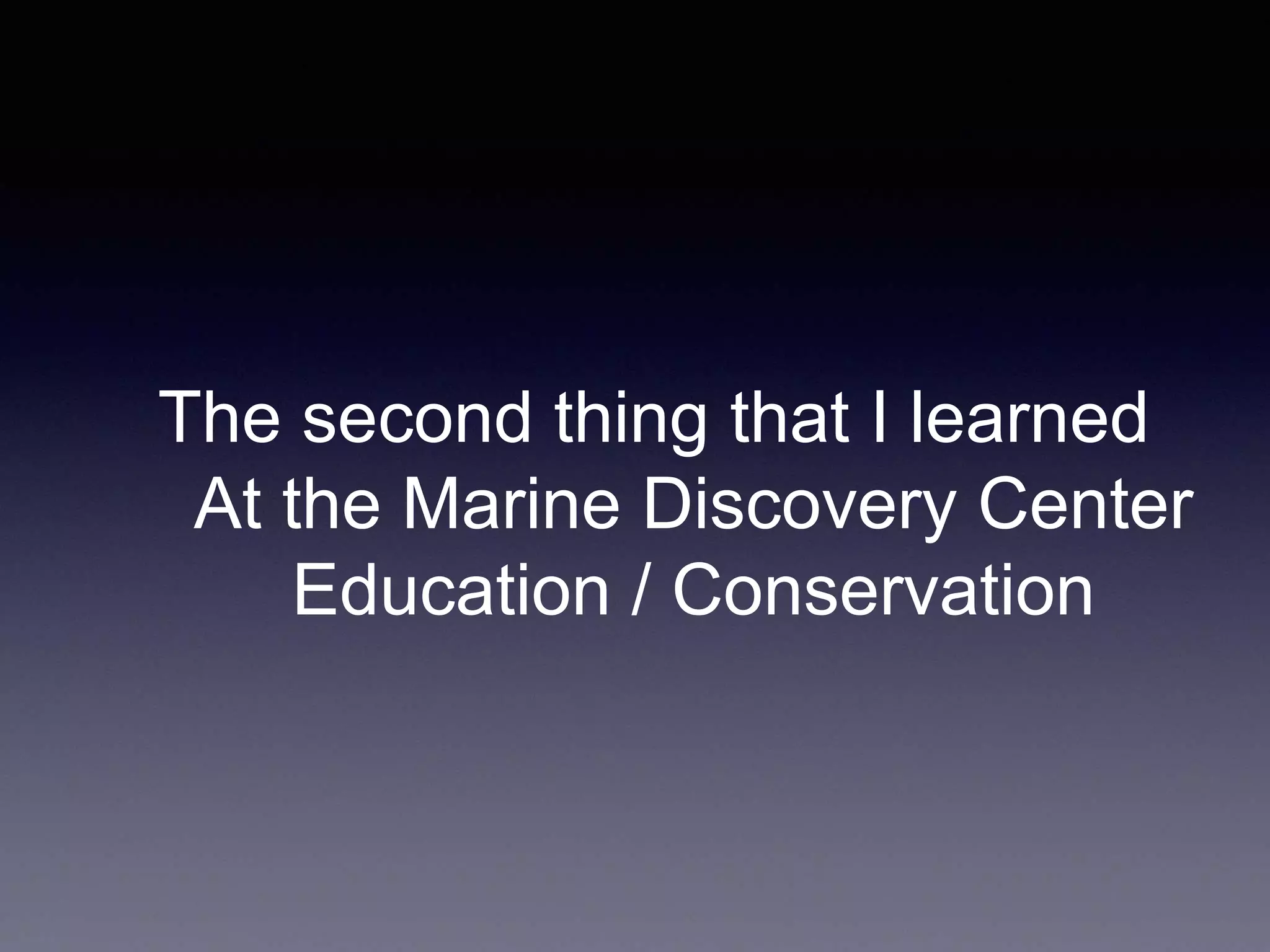 The second thing that I learned
At the Marine Discovery Center
Education / Conservation
 