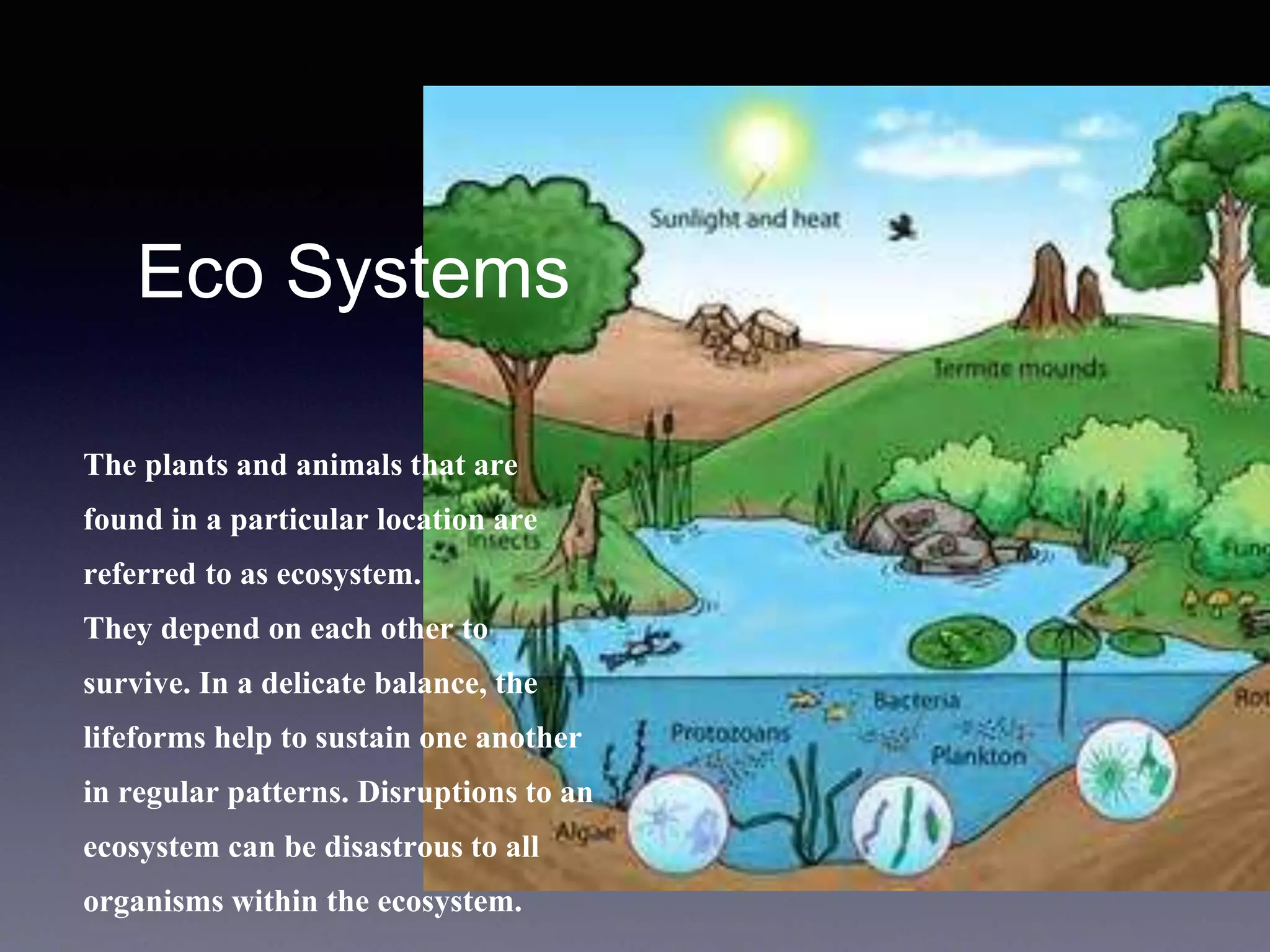 Eco Systems
The plants and animals that are
found in a particular location are
referred to as ecosystem.
They depend on each other to
survive. In a delicate balance, the
lifeforms help to sustain one another
in regular patterns. Disruptions to an
ecosystem can be disastrous to all
organisms within the ecosystem.
 