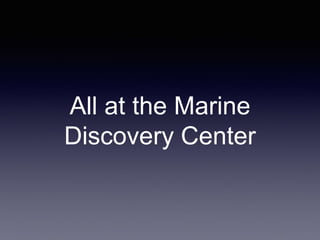All at the Marine
Discovery Center
 