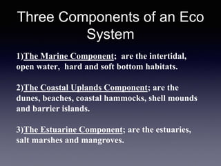 Three Components of an Eco
System
1)The Marine Component; are the intertidal,
open water, hard and soft bottom habitats.
2)The Coastal Uplands Component; are the
dunes, beaches, coastal hammocks, shell mounds
and barrier islands.
3)The Estuarine Component; are the estuaries,
salt marshes and mangroves.
 