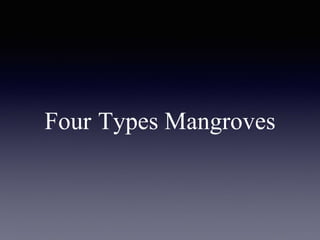 Four Types Mangroves
 