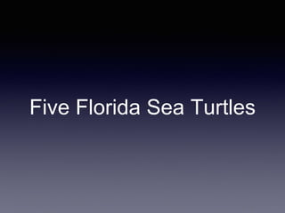 Five Florida Sea Turtles
 