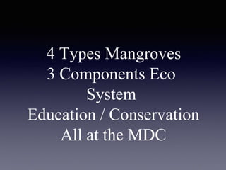 4 4 Types Mangroves
3 Components Eco
System
Education / Conservation
All at the MDC
 