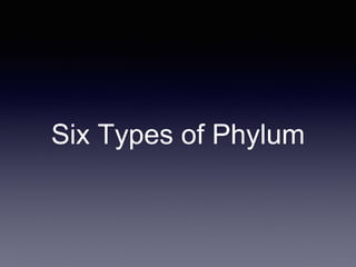 Six Types of Phylum
 