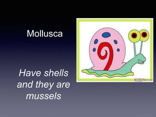 Mollusca
Have shells
and they are
mussels
 