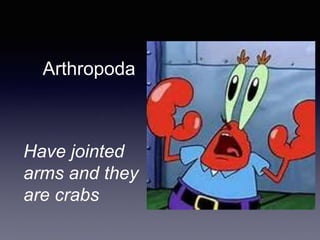 Arthropoda
Have jointed
arms and they
are crabs
 