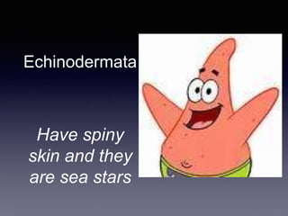 Echinodermata
Have spiny
skin and they
are sea stars
 