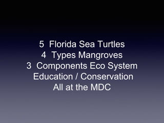 5 Florida Sea Turtles
4 Types Mangroves
3 Components Eco System
Education / Conservation
All at the MDC
 