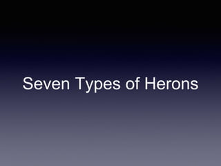 Seven Types of Herons
 