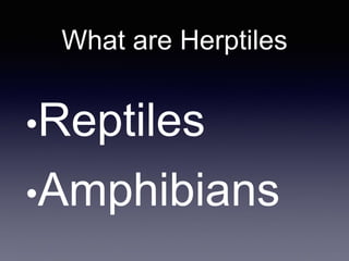 What are Herptiles
•Reptiles
•Amphibians
 