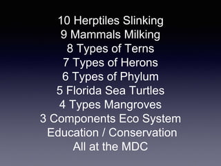 10 Herptiles Slinking
9 Mammals Milking
8 Types of Terns
7 Types of Herons
6 Types of Phylum
5 Florida Sea Turtles
4 Types Mangroves
3 Components Eco System
Education / Conservation
All at the MDC
 