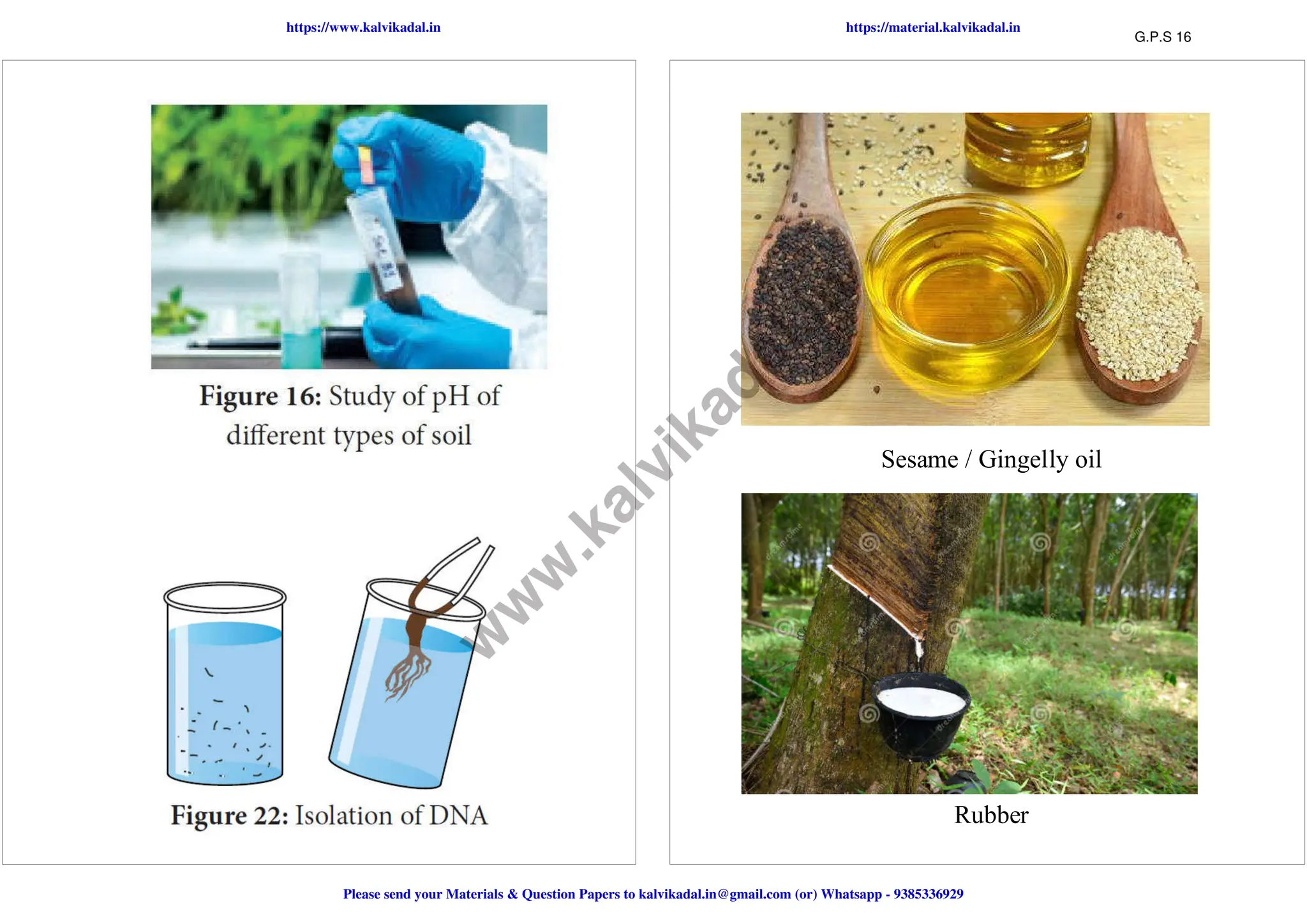 12th std Bio-Botany EM Practical notes.pdf