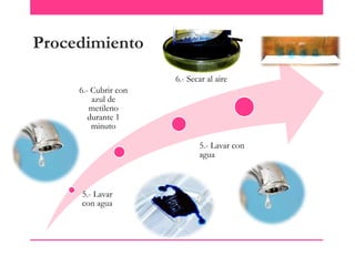 Procedimiento
6.- Secar al aire
6.- Cubrir con
azul de
metileno
durante 1
minuto
5.- Lavar con
agua

5.- Lavar
con agua

 