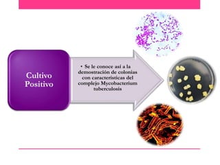 Cultivo
Positivo

• Se le conoce así a la
demostración de colonias
con características del
complejo Mycobacterium
tuberculosis

 