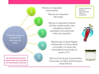 Muestra no etiquetadas
correctamente

1

Muestra en contenedor
NO estéril.

2
3

Criterios para el
rechazo de
muestra de
orina

Se informará al servicio
responsable de la petición
y se desechará la muestra.

4

5

Muestra no adecuada: Catéteres
de Foley (sonda vesical), orina
obtenida por micción
espontánea o de catéter para
cultivo de anaerobios.

Muestras que no hayan llegado
al laboratorio en 2 horas desde
su recogida y no hayan sido
correctamente conservadas en
nevera a 4º C.
Sólo en el caso de que la muestra lleve
conservante, el cultivo podrá retrasarse
hasta 24 horas.

 