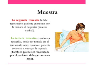 Muestra
La segunda muestra la debe
recolectar el paciente en su casa por
la mañana al despertar (muestra
matinal).

La tercera muestra, cuando sea
requerida, puede ser tomada en el
servicio de salud, cuando el paciente
concurre a entregar la segunda .
(También puede ser recolectada
por el paciente al despertar en su
casa).

 