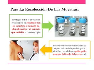 Para La Recolección De Las Muestras:
Entregar al SR el envase de
recolección ya rotulado con
su nombre o número de
identificación y el servicio
que solicita la baciloscopia.

Solicitar al SR una buena muestra de
esputo utilizando la palabra que lo
identifica en cada lugar (gallo, pollo,
gargajo, del fondo del pecho, etc).

 