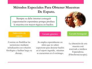 Métodos Especiales Para Obtener Muestras
De Esputo.
Siempre se debe intentar conseguir
expectoración espontánea porque produce
la muestra con mayor riqueza en bacilos.
Inducción de
esputo

Lavado gástrico

Consiste en fluidificar las
secreciones mediante
nebulización con solución
fisiológica y facilitar luego su
drenaje .

Se emplea especialmente en
niños que no saben
expectorar para detectar bacilos
en el esputo ingerido, mientras
se encuentran en el estómago.

Lavado bronquial

La obtención de esta
muestra está
reservada a médicos
Especialistas.
(Fibrobroncoscopio).

 