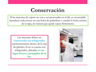 Conservación
Si las muestras de esputo no van a ser procesadas en el día, es aconsejable
introducir cada envase en una bolsa de polietileno y anudar la bolsa encima
de la tapa, de manera que quede sujeta firmemente.

Las muestras deben ser
conservadas en refrigerador,
preferentemente dentro de la caja
de plástico. Si no se cuenta con
refrigerador, ubicarlas en un
lugar fresco y protegidas de la
luz.

 