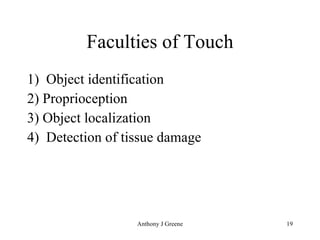 Faculties of Touch 1)  Object identification 2) Proprioception 3) Object localization 4)  Detection of tissue damage 