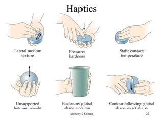 Haptics 