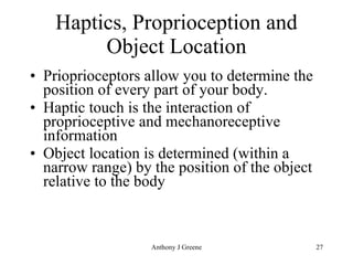 Haptics, Proprioception and Object Location Prioprioceptors allow you to determine the position of every part of your body. Haptic touch is the interaction of proprioceptive and mechanoreceptive information Object location is determined (within a narrow range) by the position of the object relative to the body 