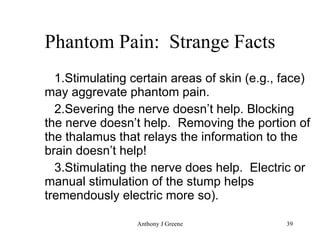 Phantom Pain:  Strange Facts Stimulating certain areas of skin (e.g., face) may aggrevate phantom pain. Severing the nerve doesn’t help. Blocking the nerve doesn’t help.  Removing the portion of the thalamus that relays the information to the brain doesn’t help! Stimulating the nerve does help.  Electric or manual stimulation of the stump helps tremendously electric more so). 