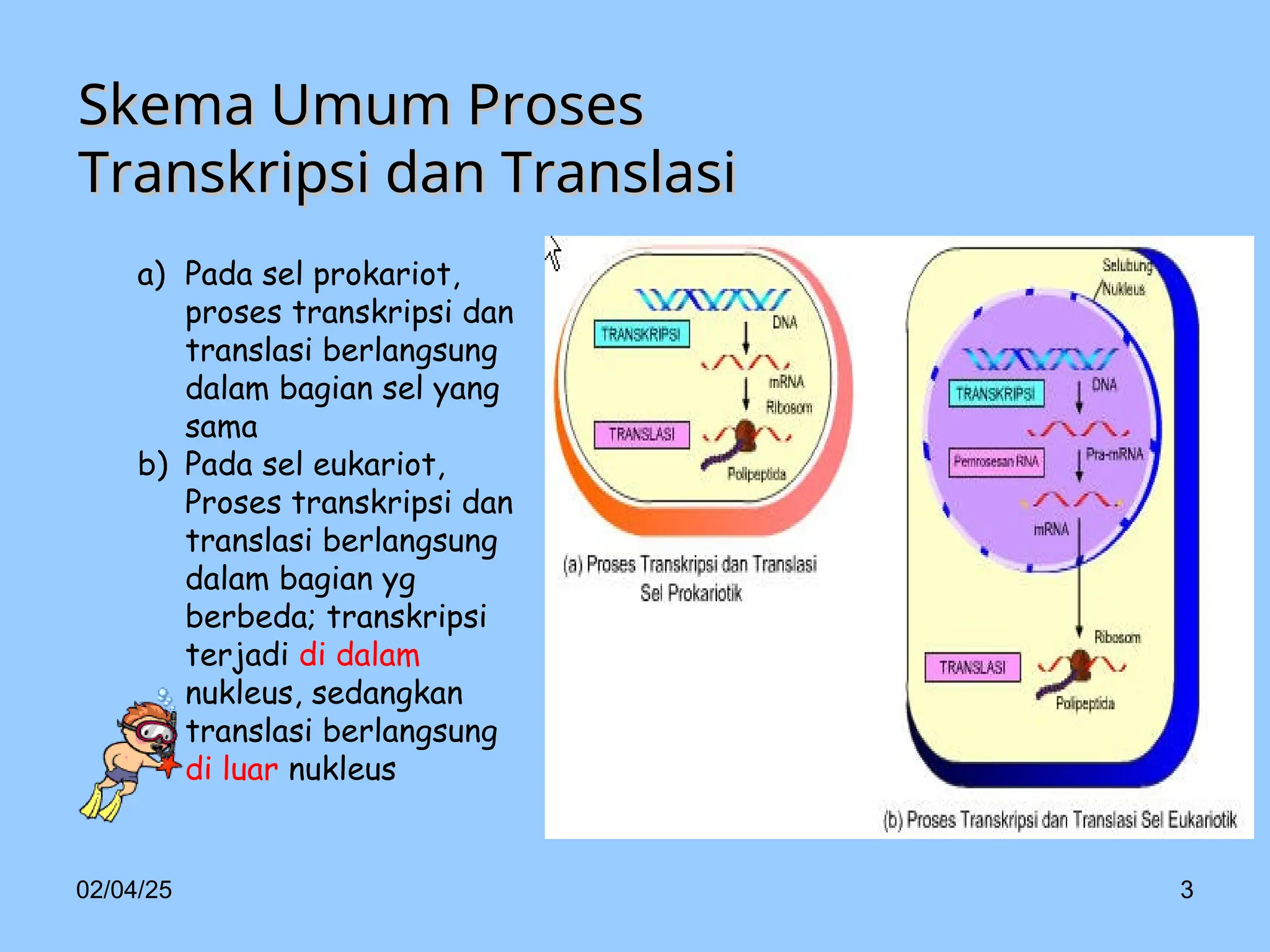 proses Transkripsi_dan_Translasi_DNA.ppt