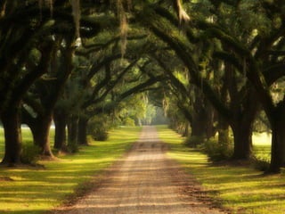 12 tribe con larimer