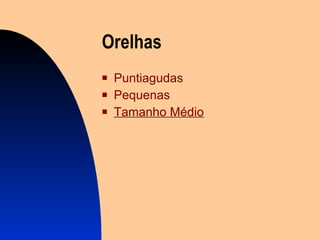 Orel h as Puntiagudas Pequenas Tamanho   Médio 