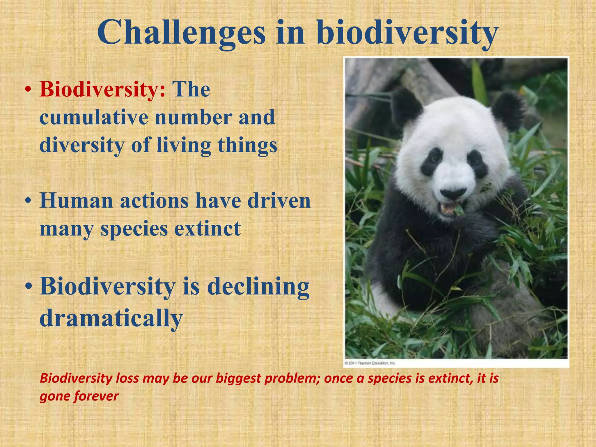 Challenges in biodiversity
• Biodiversity: The
cumulative number and
diversity of living things
• Human actions have driven
many species extinct
• Biodiversity is declining
dramatically
Biodiversity loss may be our biggest problem; once a species is extinct, it is
gone forever
 