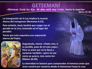 «Entonces Jesús les dijo: Mi alma está muy triste, hasta la muerte»
(Mateo 26:38)
La transgresión de la Ley implica la muerte
eterna del transgresor (Romanos 6:23).
Para evitarlo, Jesús tendría que cargar con el
pecado en la cruz, tomando así el lugar del
pecador.
Temía que esto supusiera una separación
eterna del Padre.
La eternidad no bastará para comprender el inmenso amor que
Jesús mostró por nosotros desde el Getsemaní hasta la cruz.
Angustiado, clamó: «Padre mío, si
es posible, pase de mí esta copa».
Pero su amor por mí le llevó a
exclamar también: «pero no sea
como yo quiero, sino como tú»
(Mateo 26:39).
 