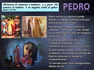 «Entonces él comenzó a maldecir, y a jurar: No
conozco al hombre. Y en seguida cantó el gallo»
(Mateo 26:74)
Pedro mostró su valentía cuando
blandió su espada contra la turba que
pretendía prender a Jesús.
Poco después, negaba conocer al
«Hombre». Temió por su vida. Olvidó
en un momento tres años de milagros y
unión con Cristo.
El canto del gallo le devolvió a la
realidad de su pecado. En ese
momento, Jesús le miró (Lucas 22:61).
Su libre albedrío le llevó a traicionar a
su Maestro. Pero aceptó el llamado del
Espíritu Santo que le llevaba al
arrepentimiento.
«Y saliendo fuera, lloró amargamente»
(Mateo 26:75).
 