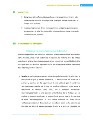 12 utilización de microorganismos en la industria | DOCX